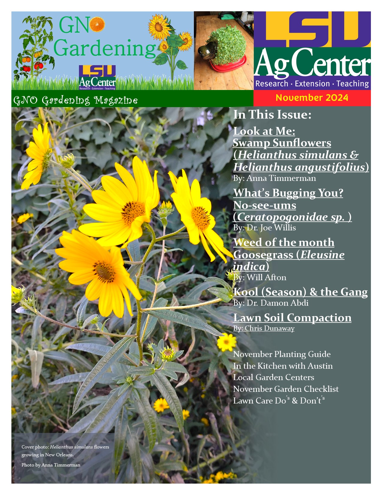 November 2024 cover.jpg thumbnail
